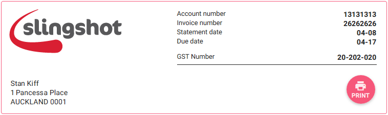 SS_Payments_-_Download_and_Print.png